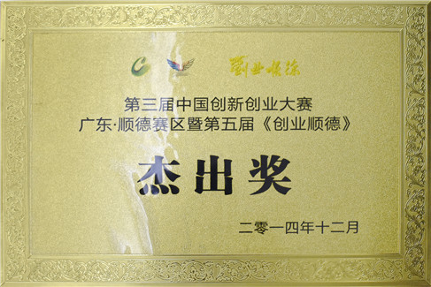 杰出奖